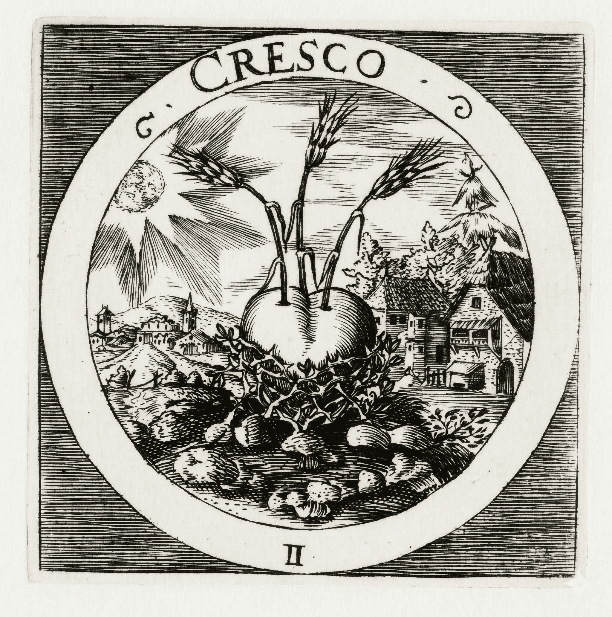 成長 - Emblemata Sacra